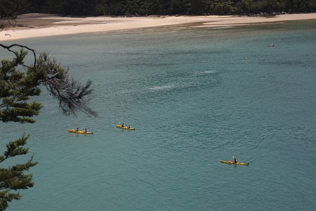 塔斯曼国家公园游拍（四）