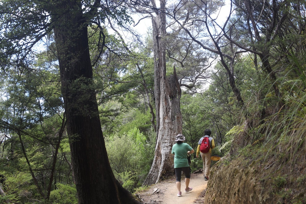 塔斯曼国家公园游拍（四）