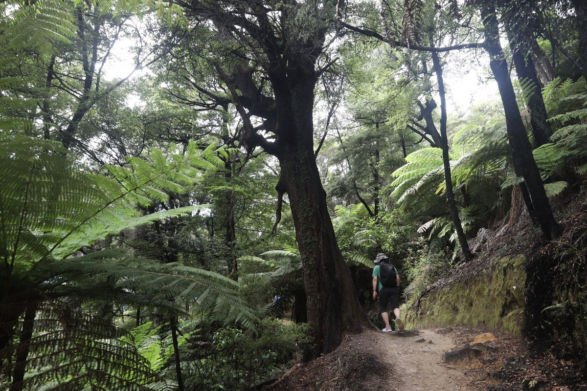 塔斯曼国家公园游拍（四）