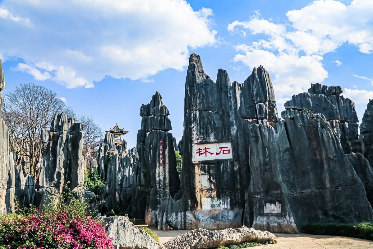 我眼中的石林景区（一）
