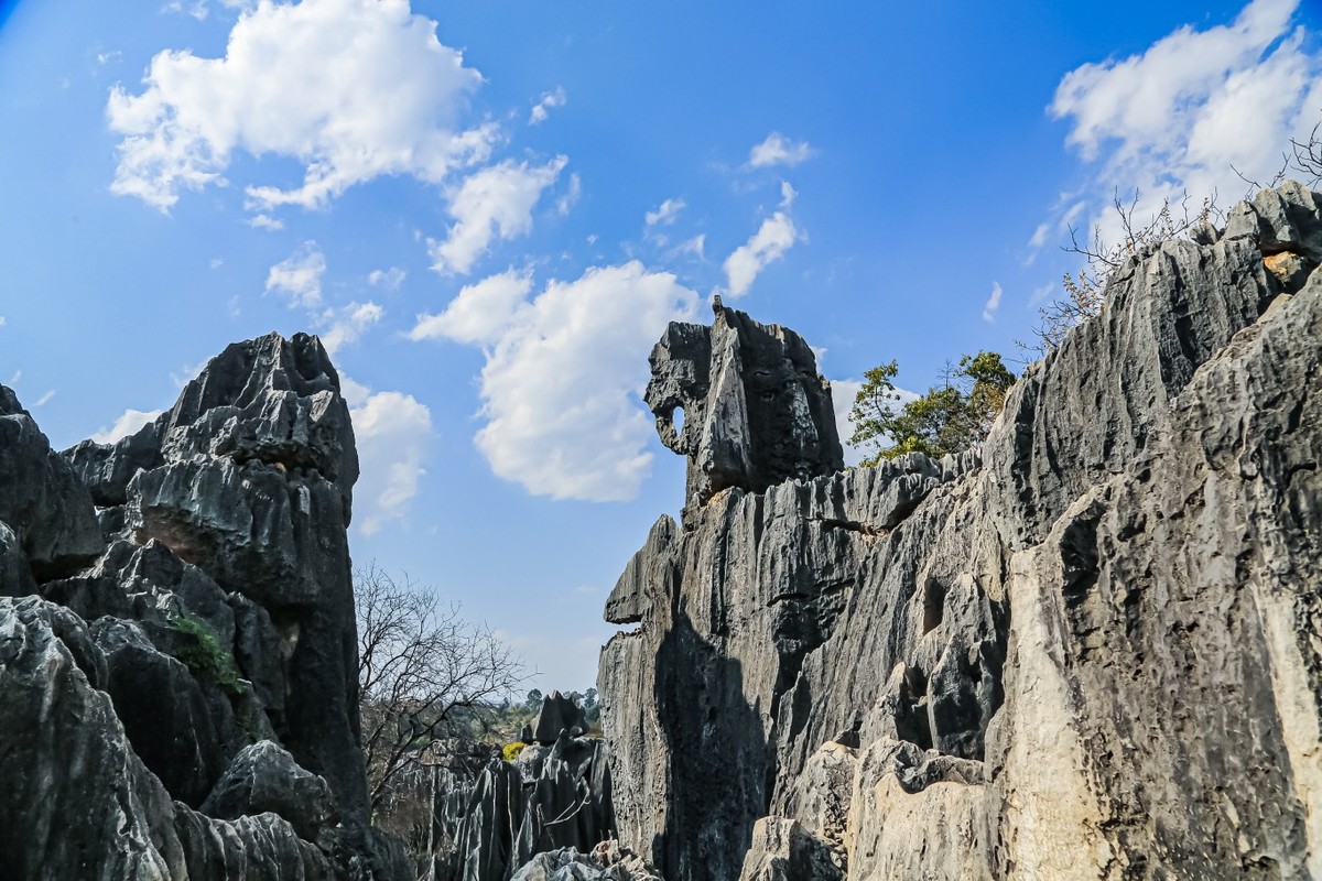 我眼中的石林景区（一）