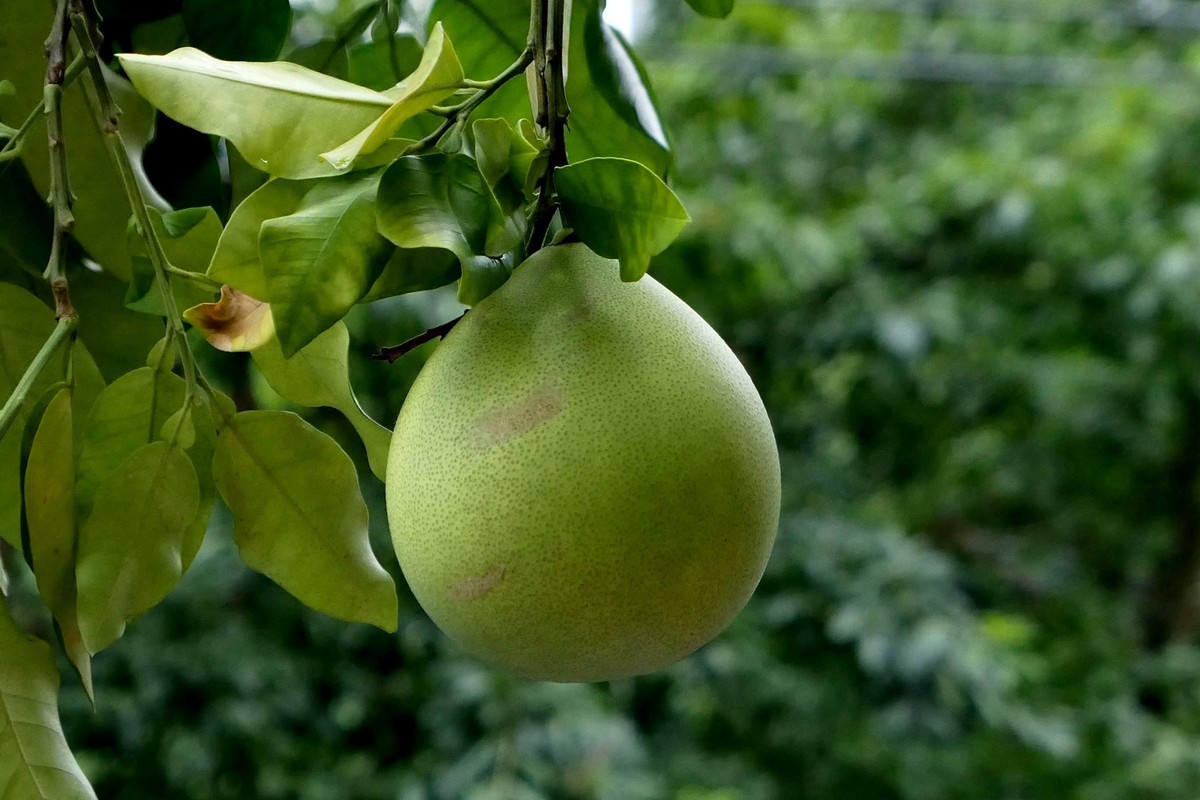 我家小帅锅，小公主