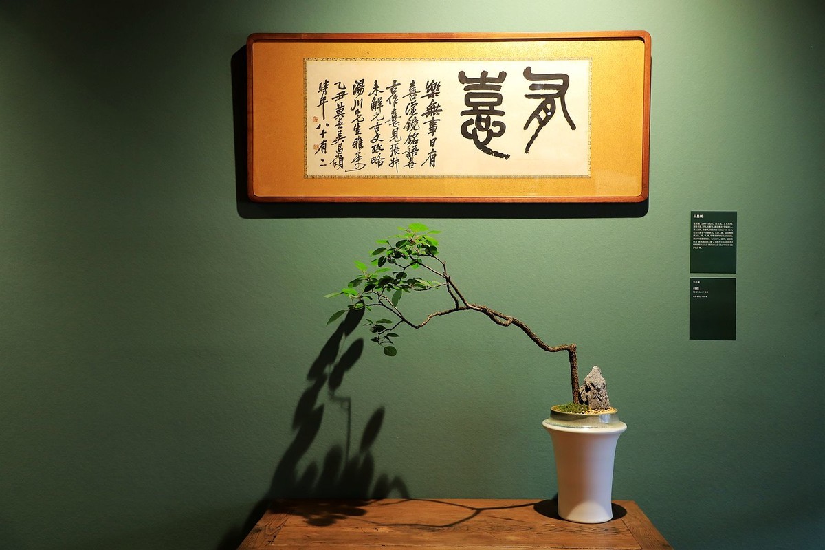 墨池坊历史文化街 (6)-中关村在线摄影论坛