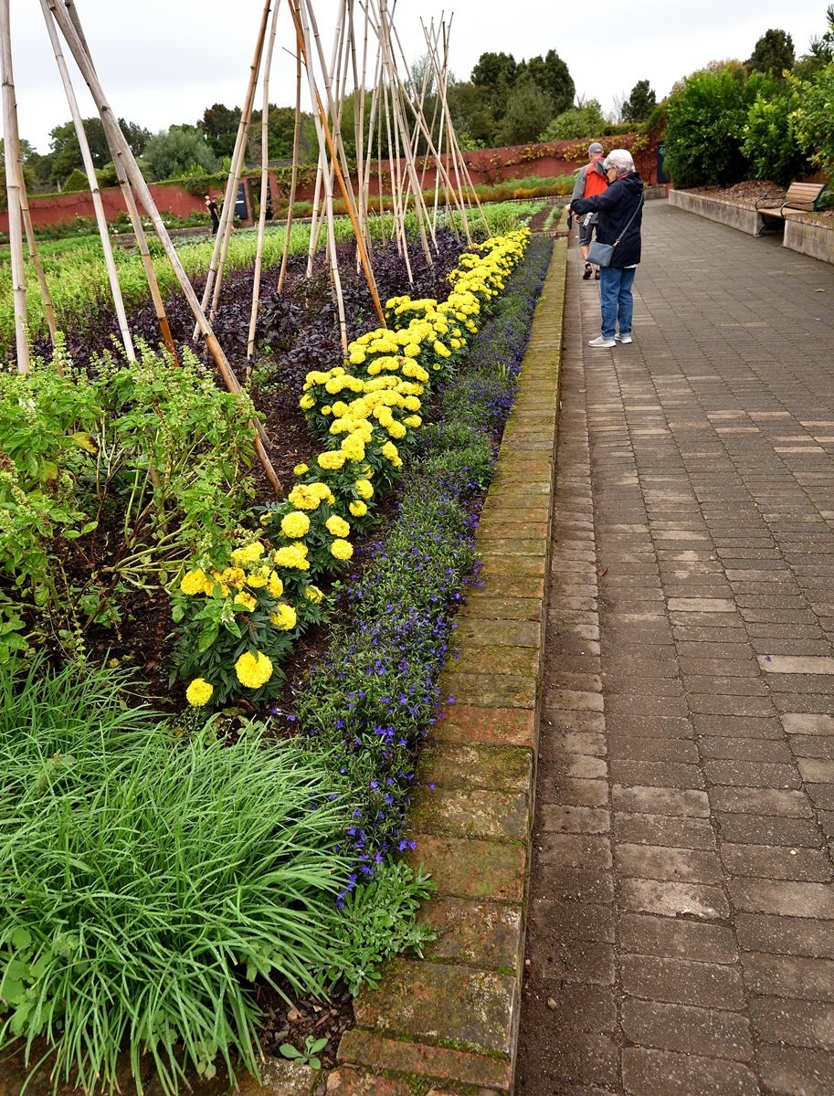 新西兰哈密尔顿花园      4/4
