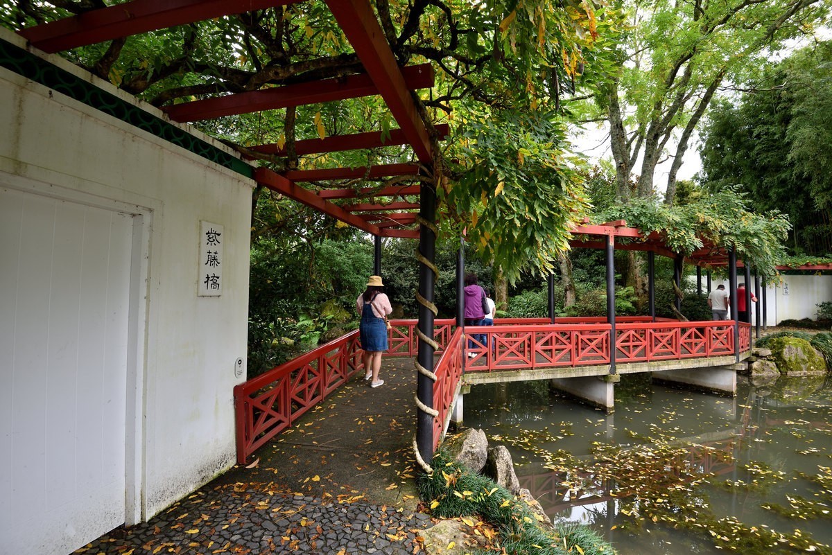 新西兰哈密尔顿花园      4/4