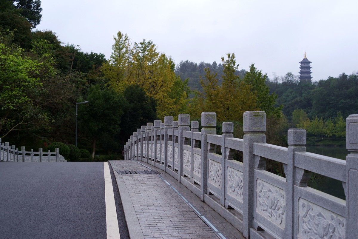 深秋的园林景观（太苦玛标头）