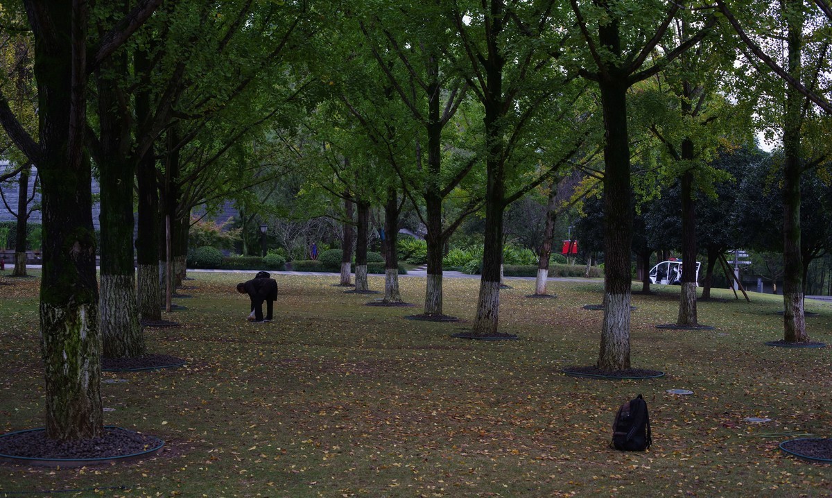 深秋的园林景观（太苦玛标头）