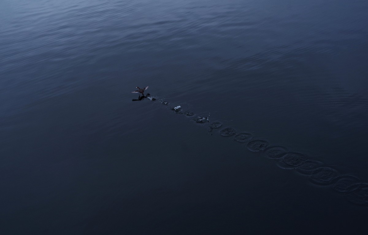 深秋的园林景观（太苦玛标头）