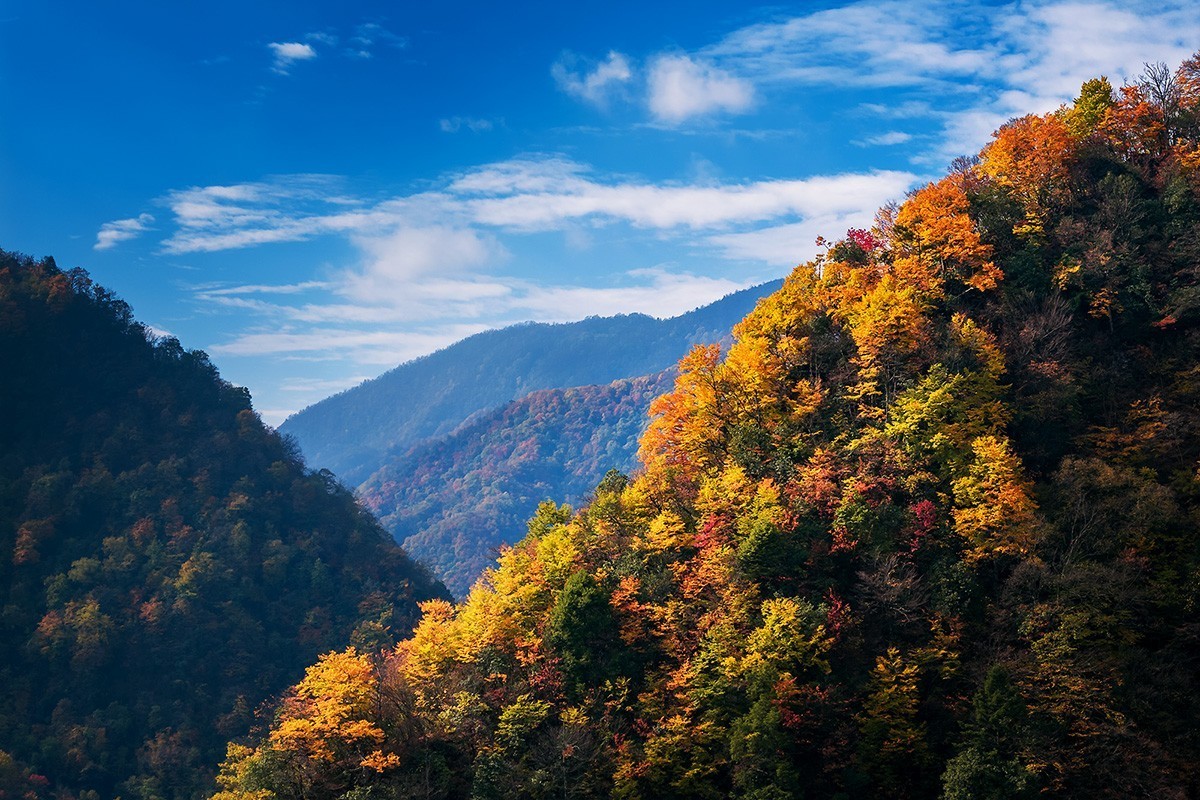 山中秋色