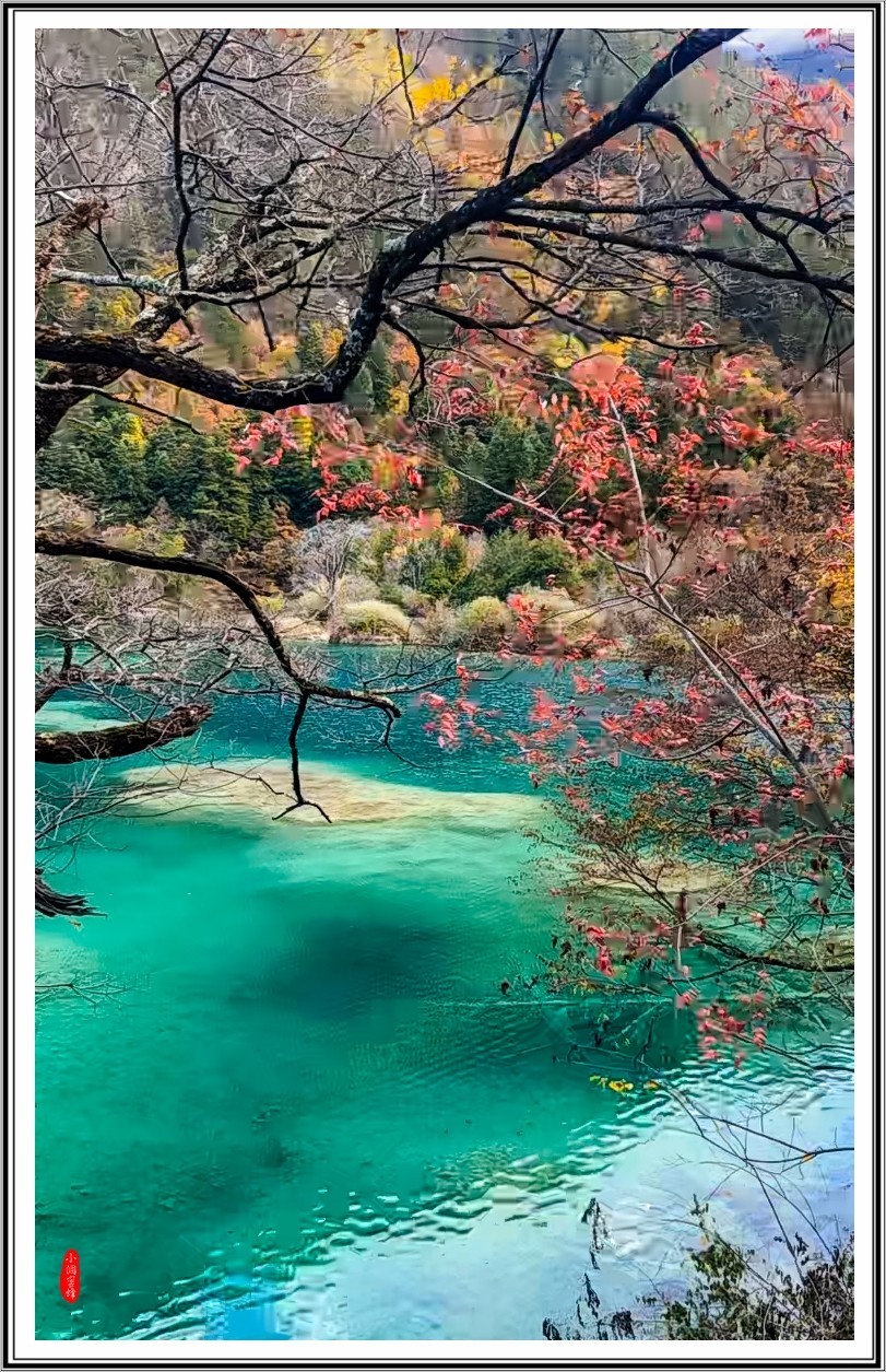 2022年九寨沟云拍-39