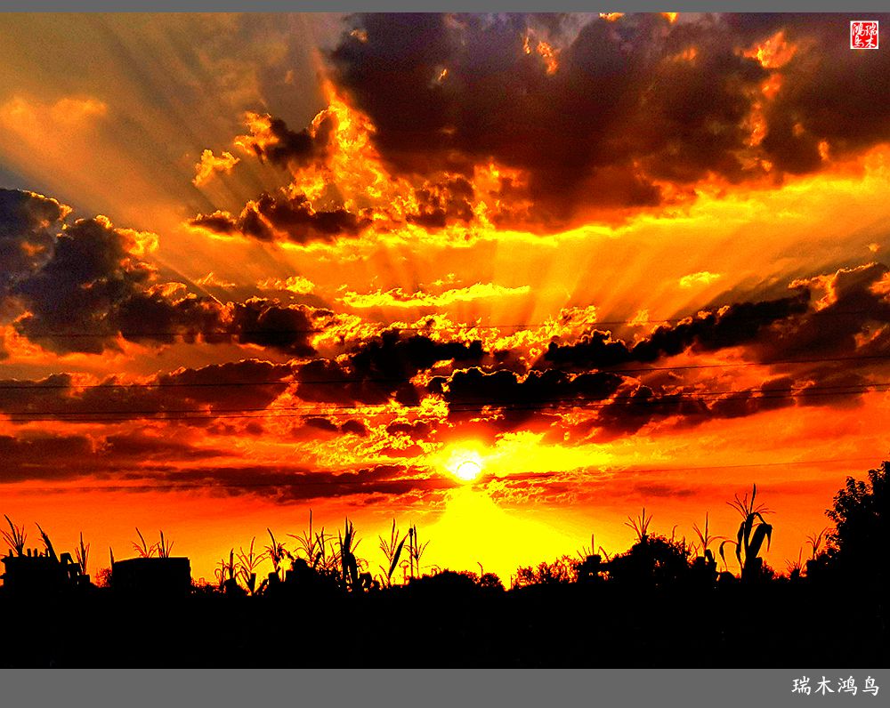 【手机随拍】朝霞光芒四射