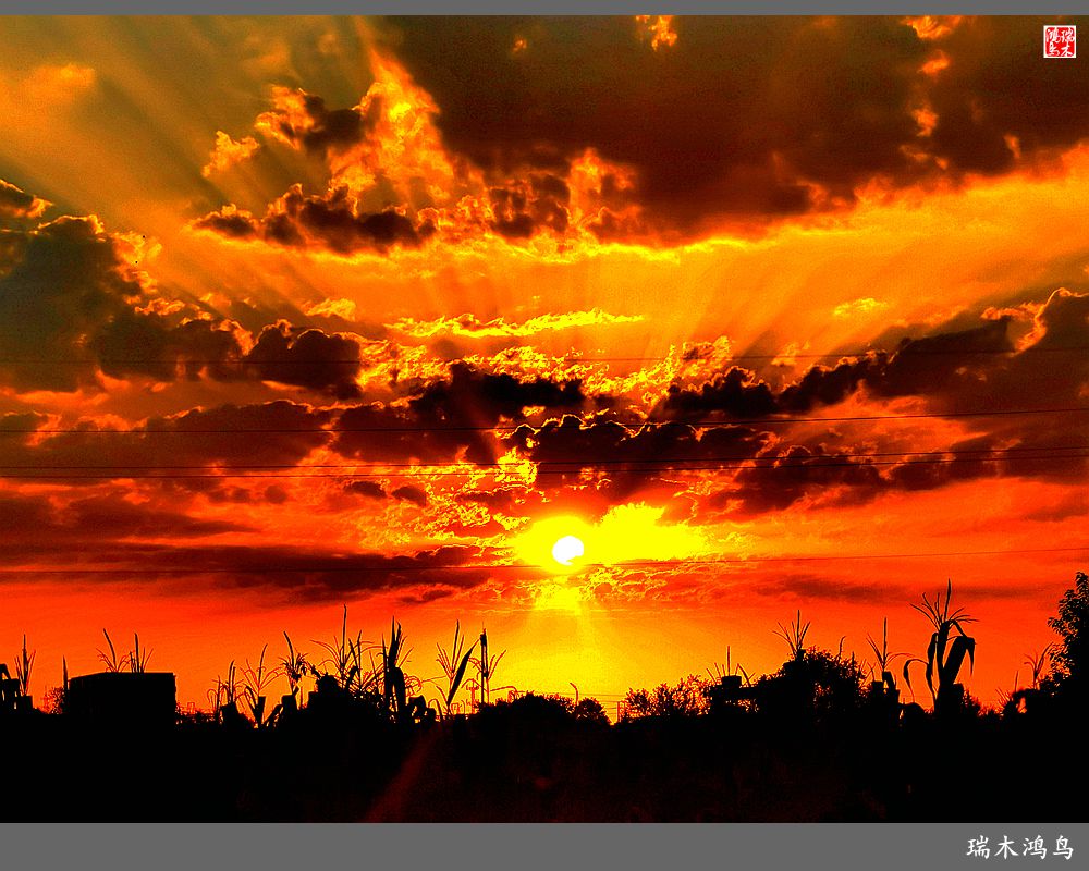 【手机随拍】朝霞光芒四射