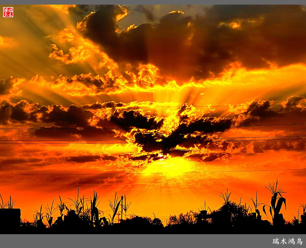 【手机随拍】朝霞光芒四射