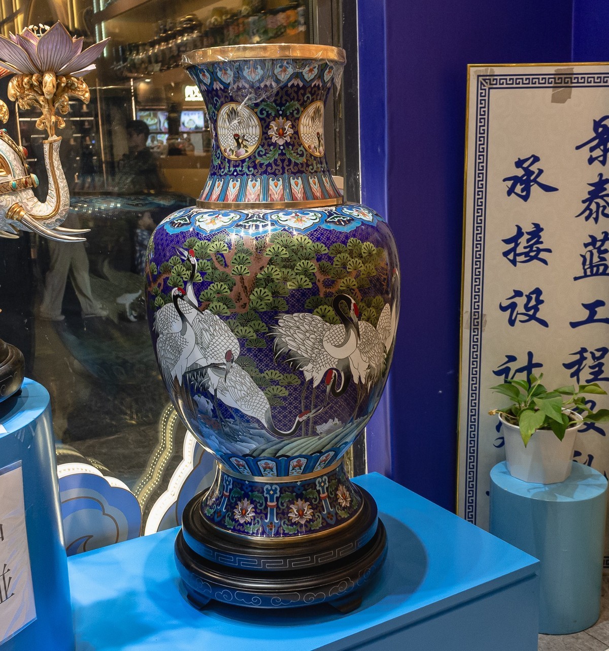 一组习拍（上）