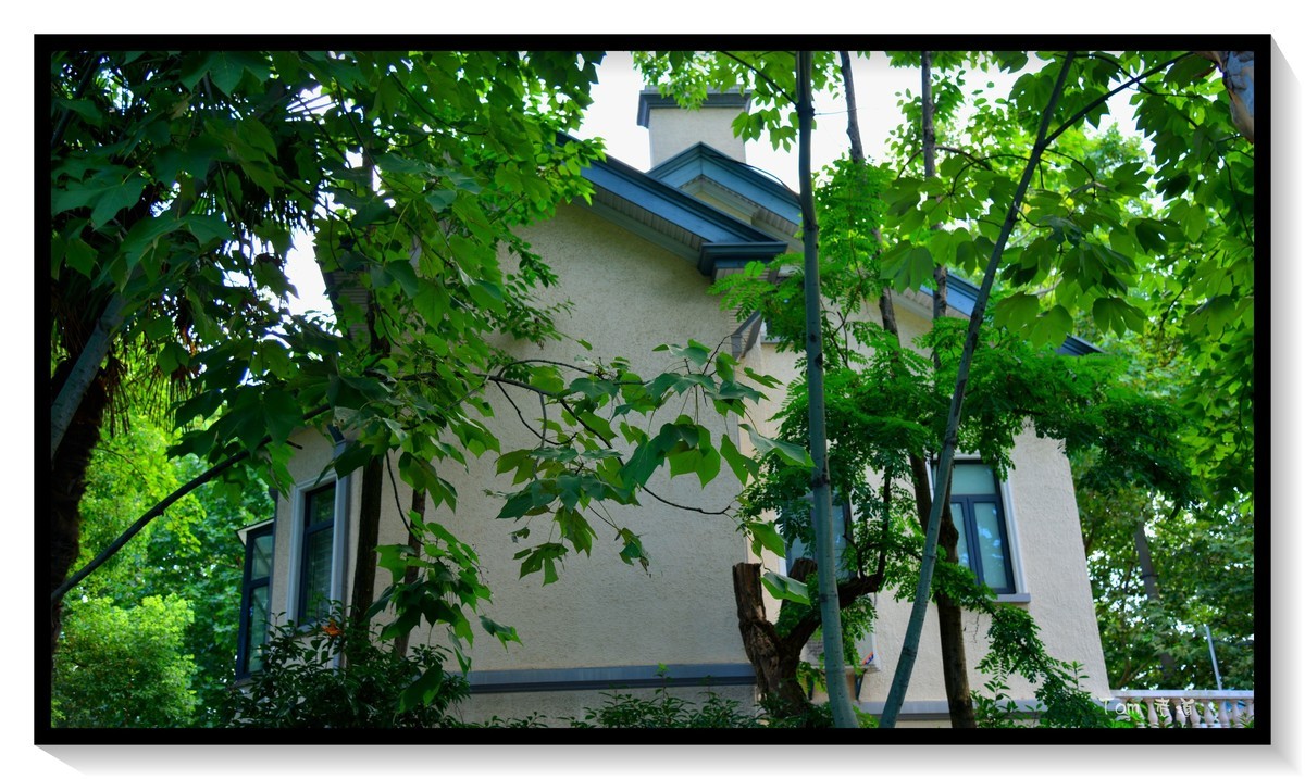 南京颐和路—很抓人很让人沉浸的地方