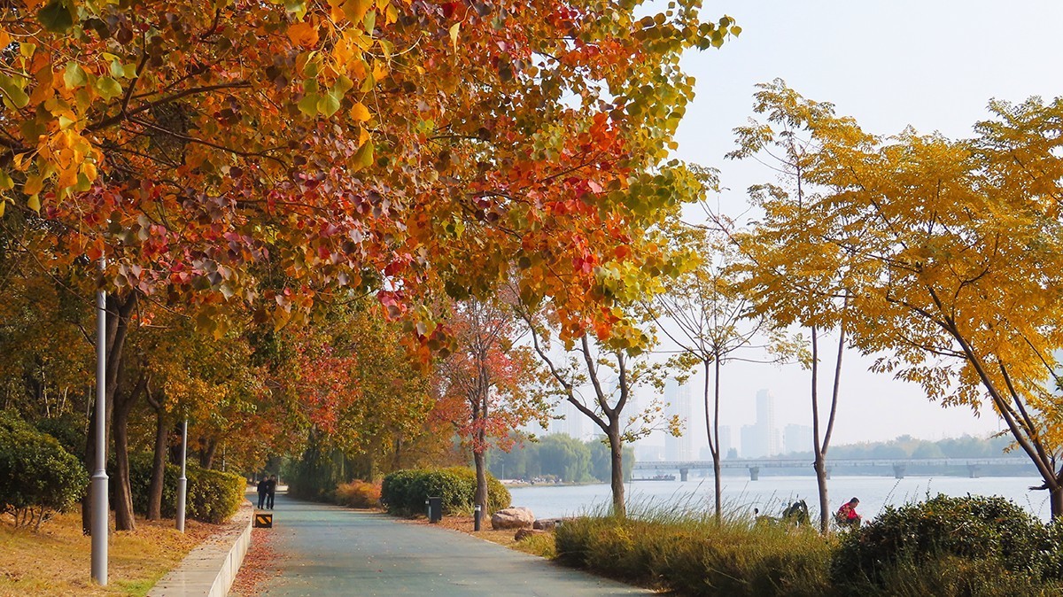 秋的浪漫秋色，秋实