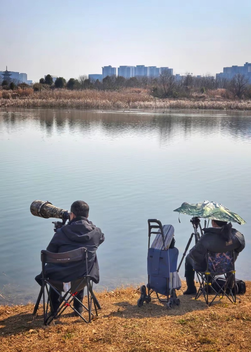 长枪短炮来拍鸟