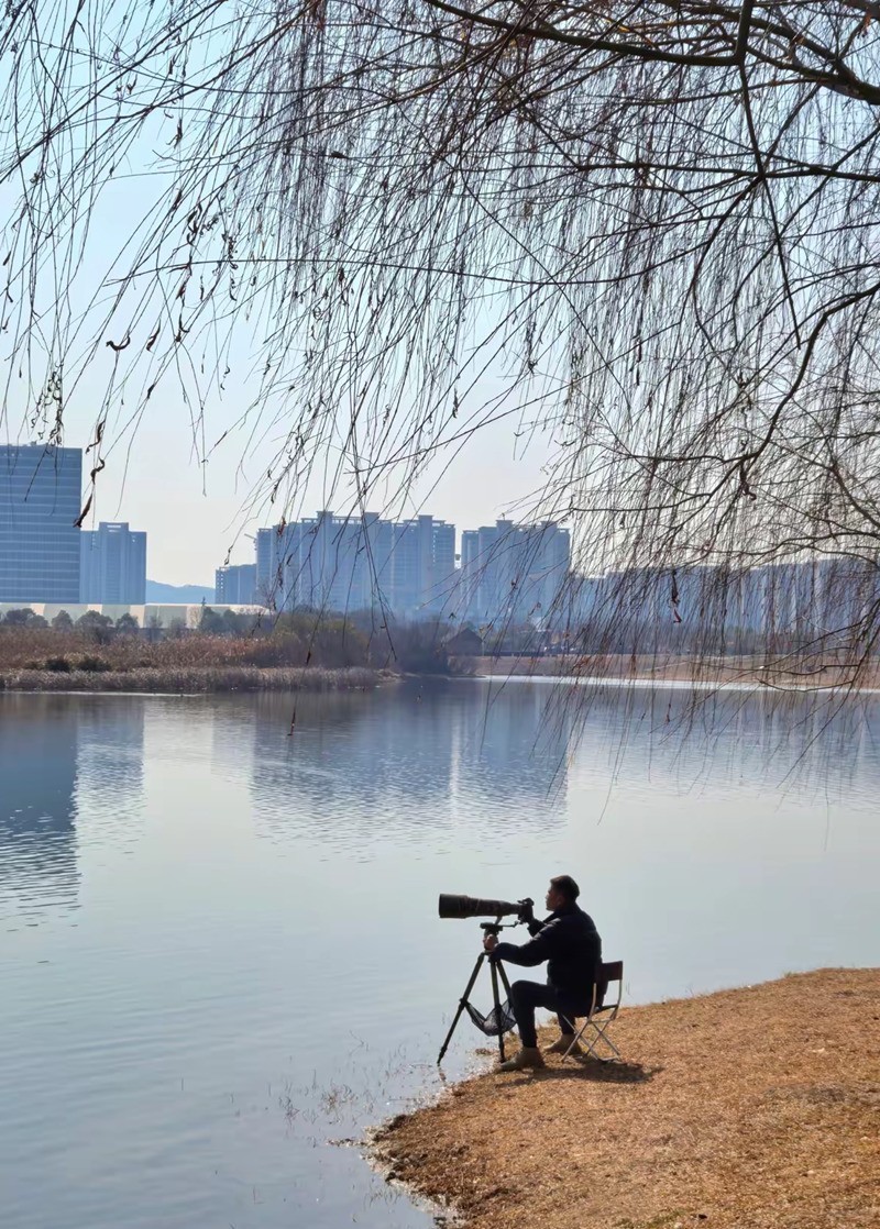 长枪短炮来拍鸟