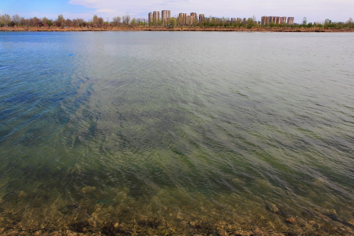 滹沱河畔春光美