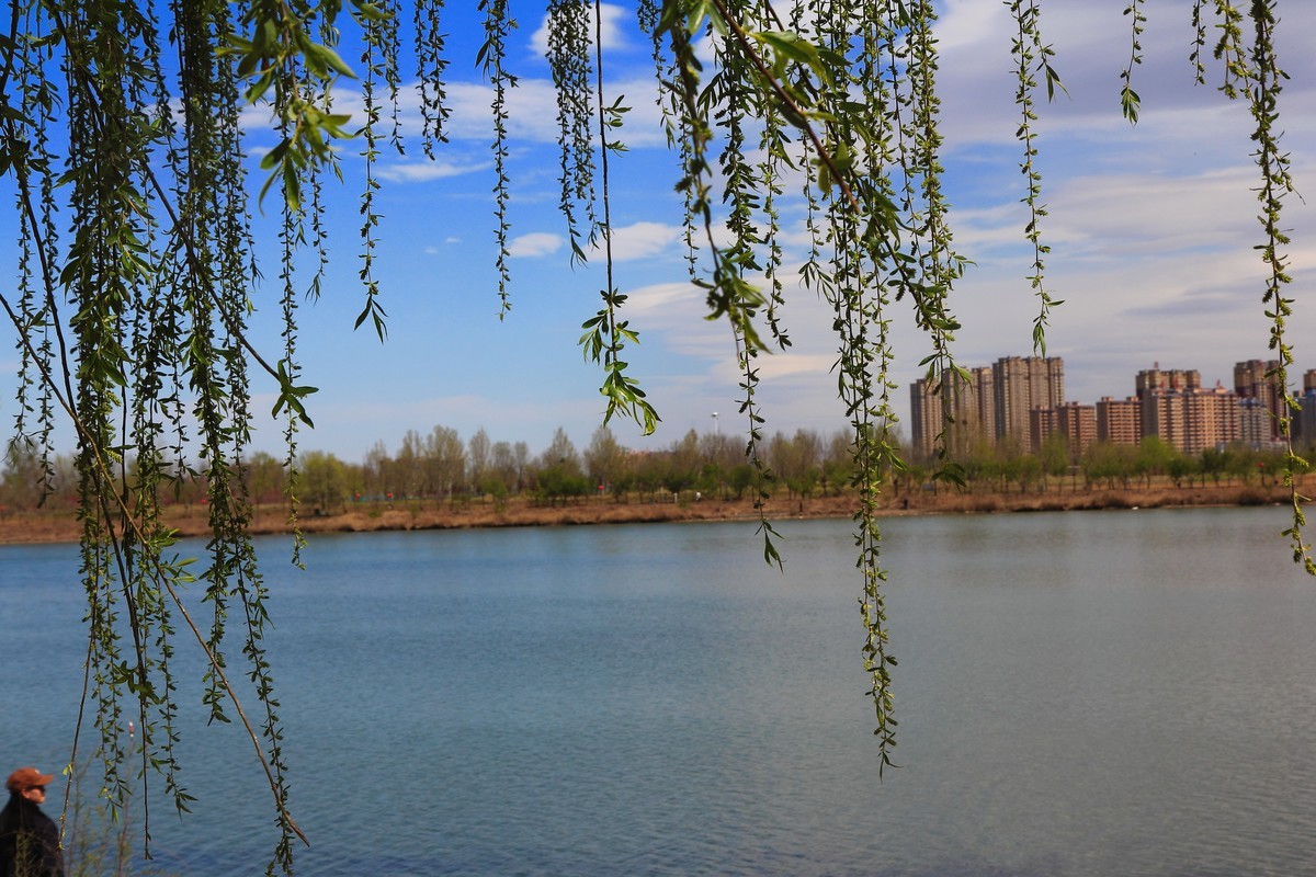 滹沱河畔春光美