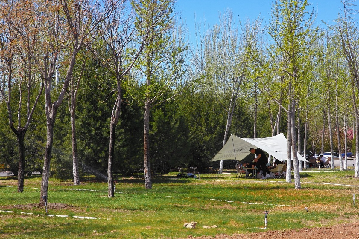 滹沱河畔春光美