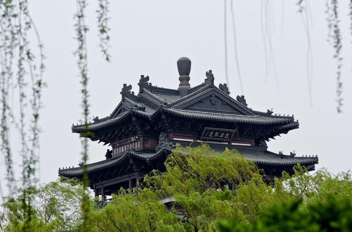 春日——明湖杂拍