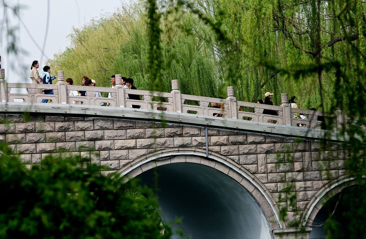 春日——明湖杂拍