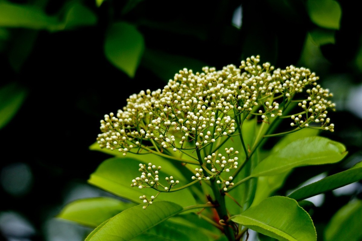 春日——明湖杂拍