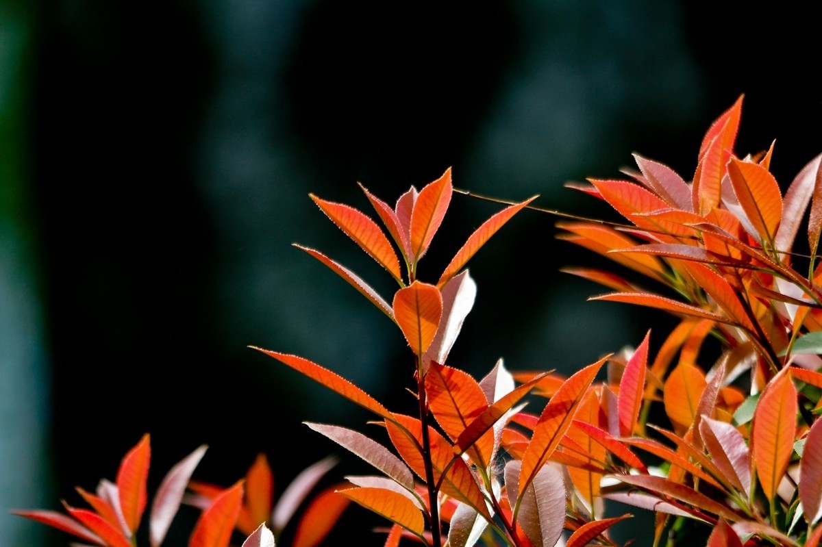 春日——明湖杂拍