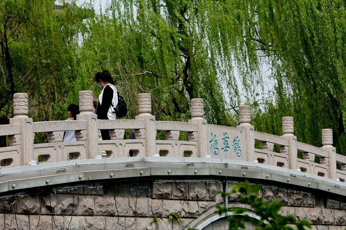 春日——明湖杂拍