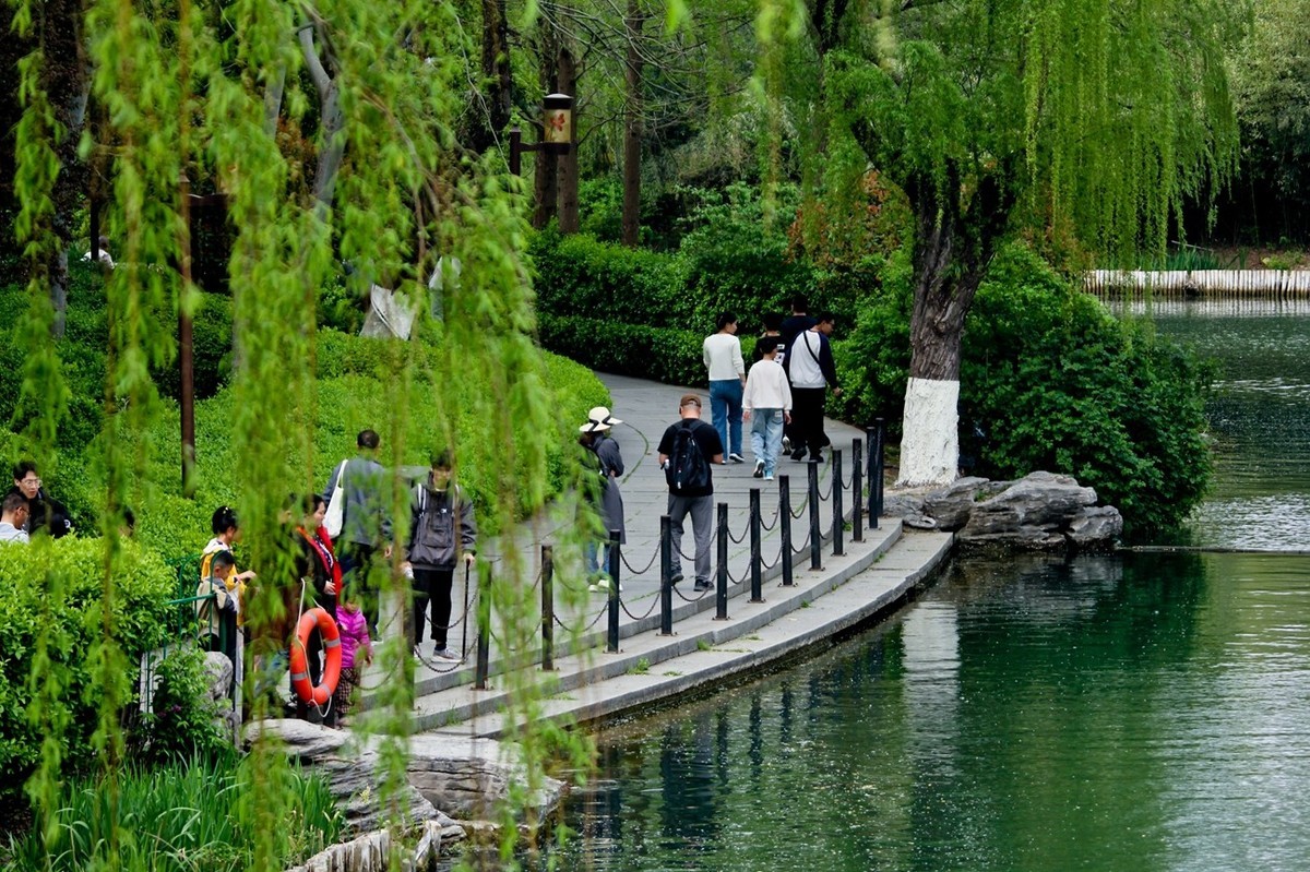 春日——明湖杂拍