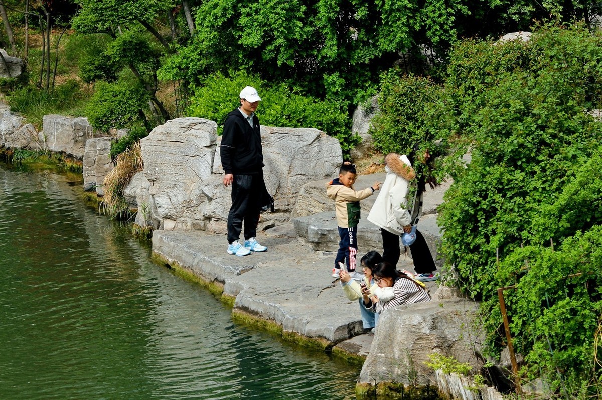 春日——明湖杂拍