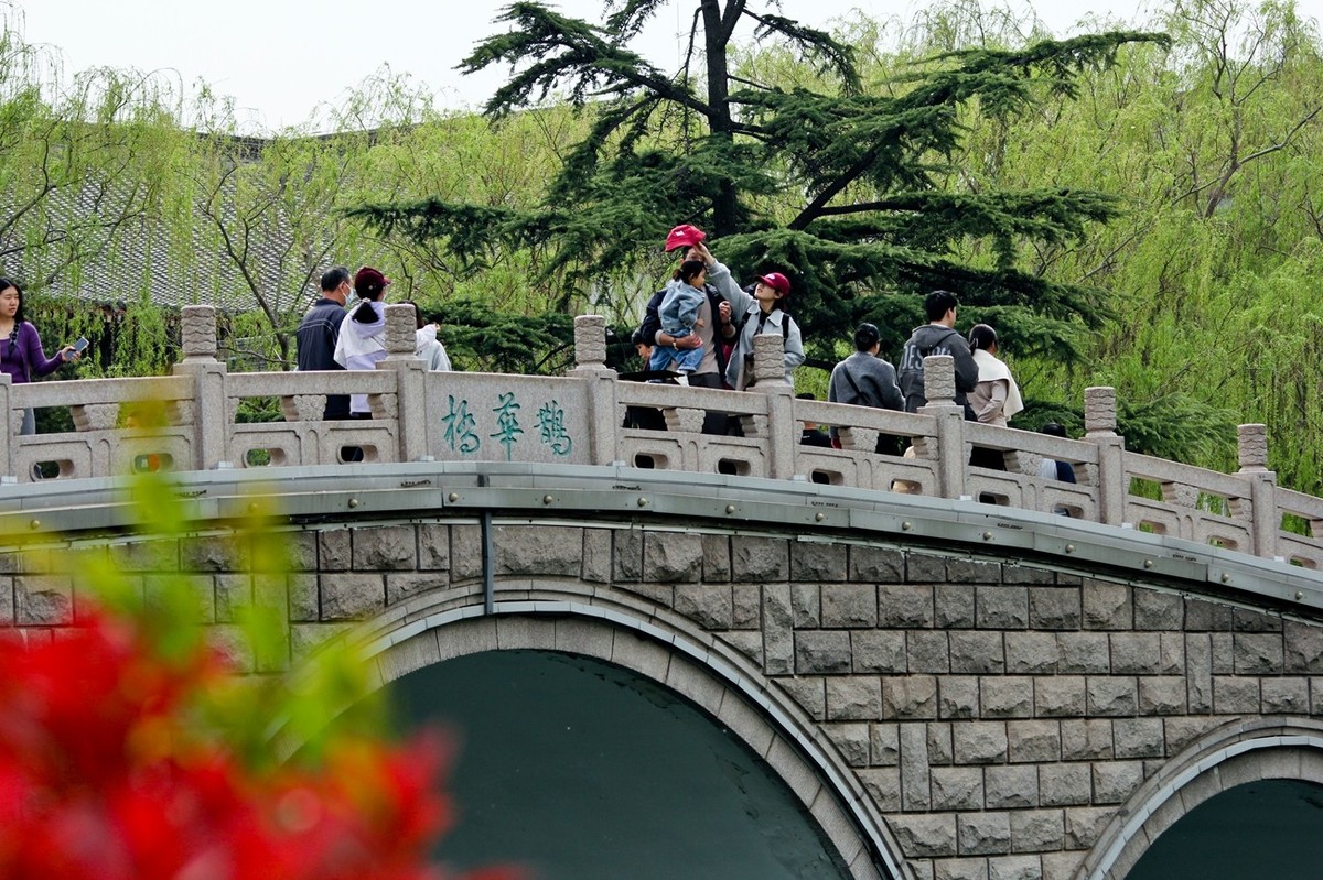 春日——明湖杂拍