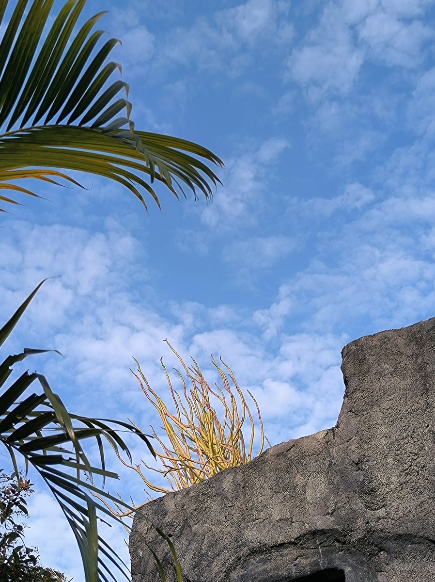 2025春节 广东行（37）观音溶洞