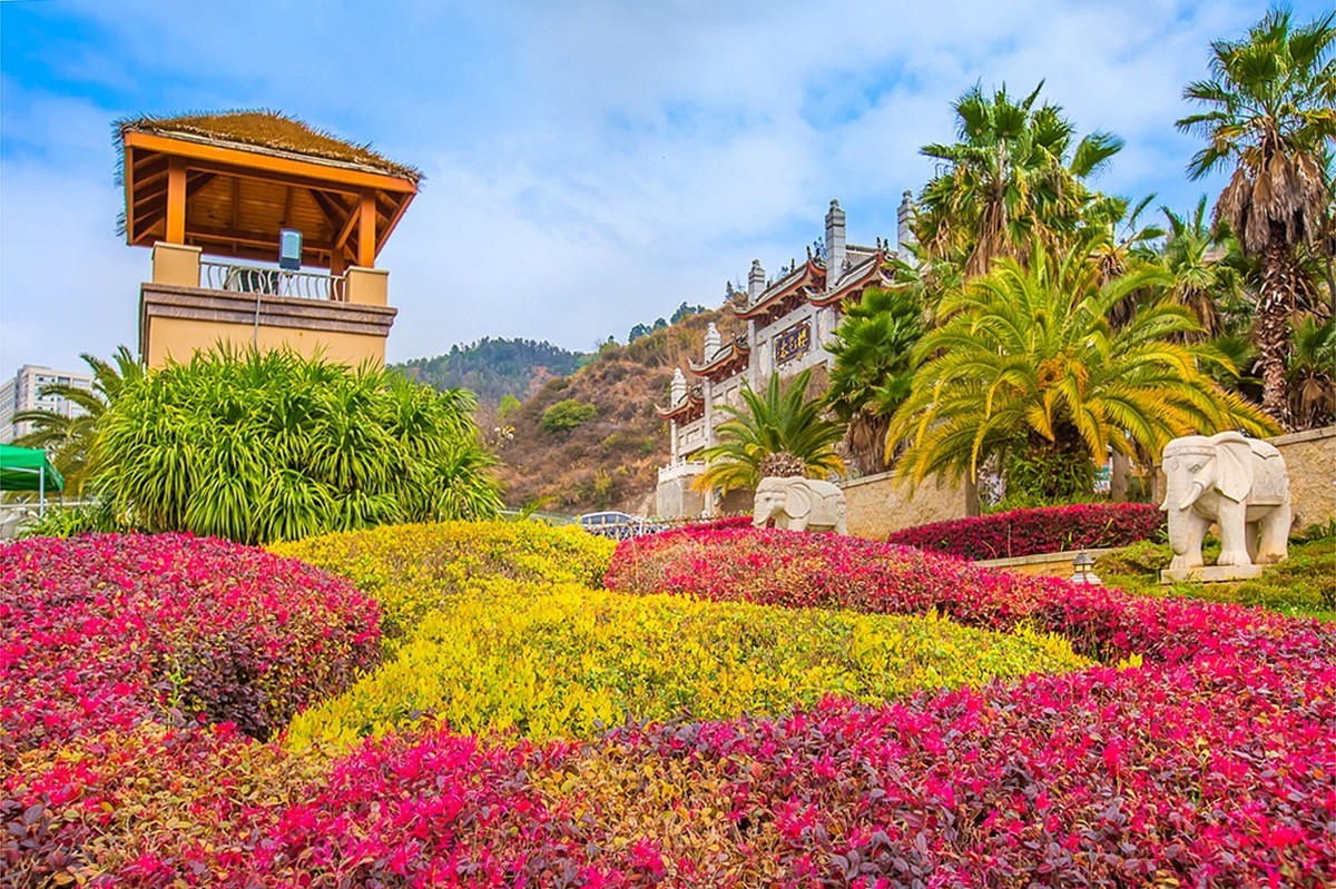 2025-05-28云南玉溪抚仙湖樱花谷（一）