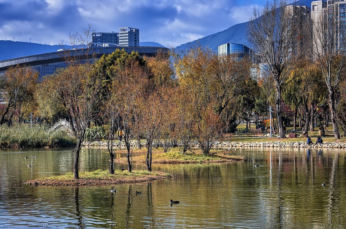 大理 · 洱海月湿地