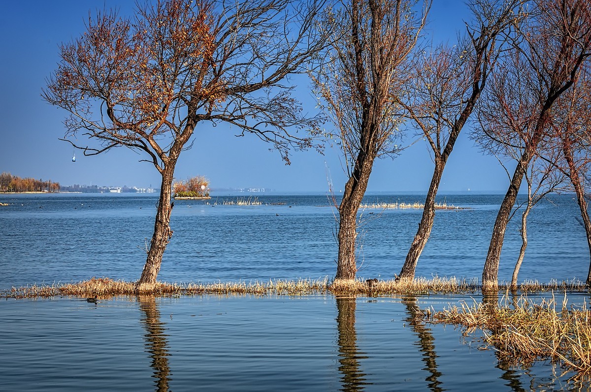 大理 · 洱海月湿地