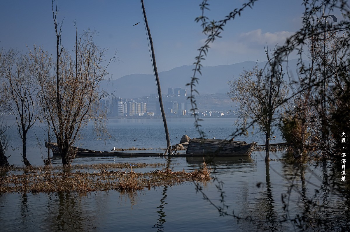 大理 · 洱海月湿地