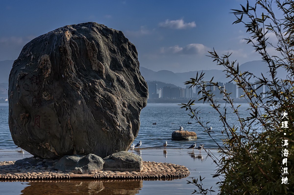 大理 · 洱海月湿地