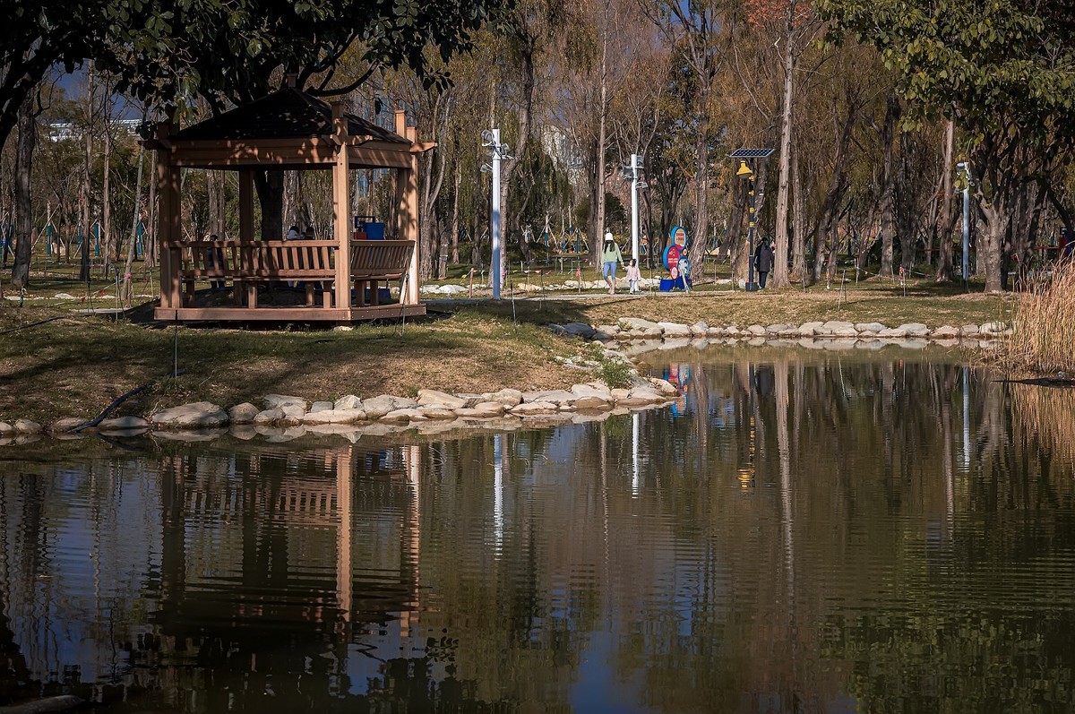 大理 · 洱海月湿地