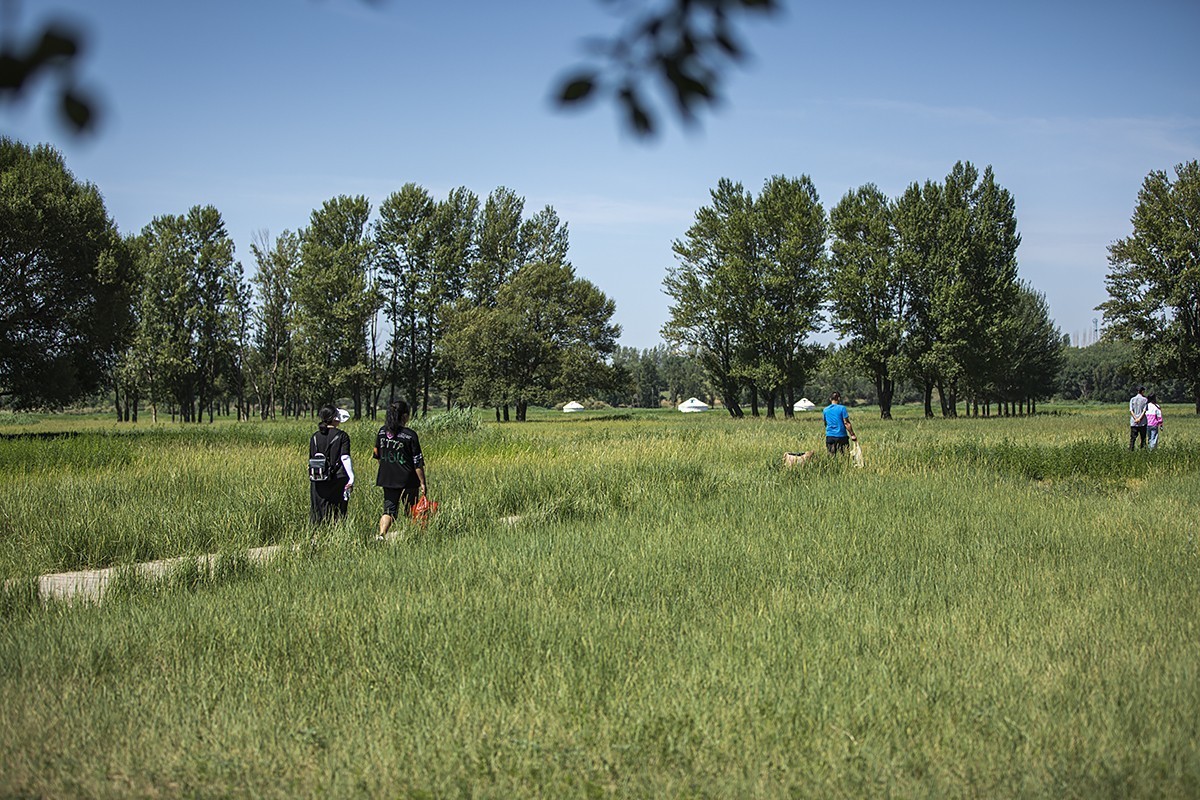 苍茫翠色流天际，闲庭信步结伴行。