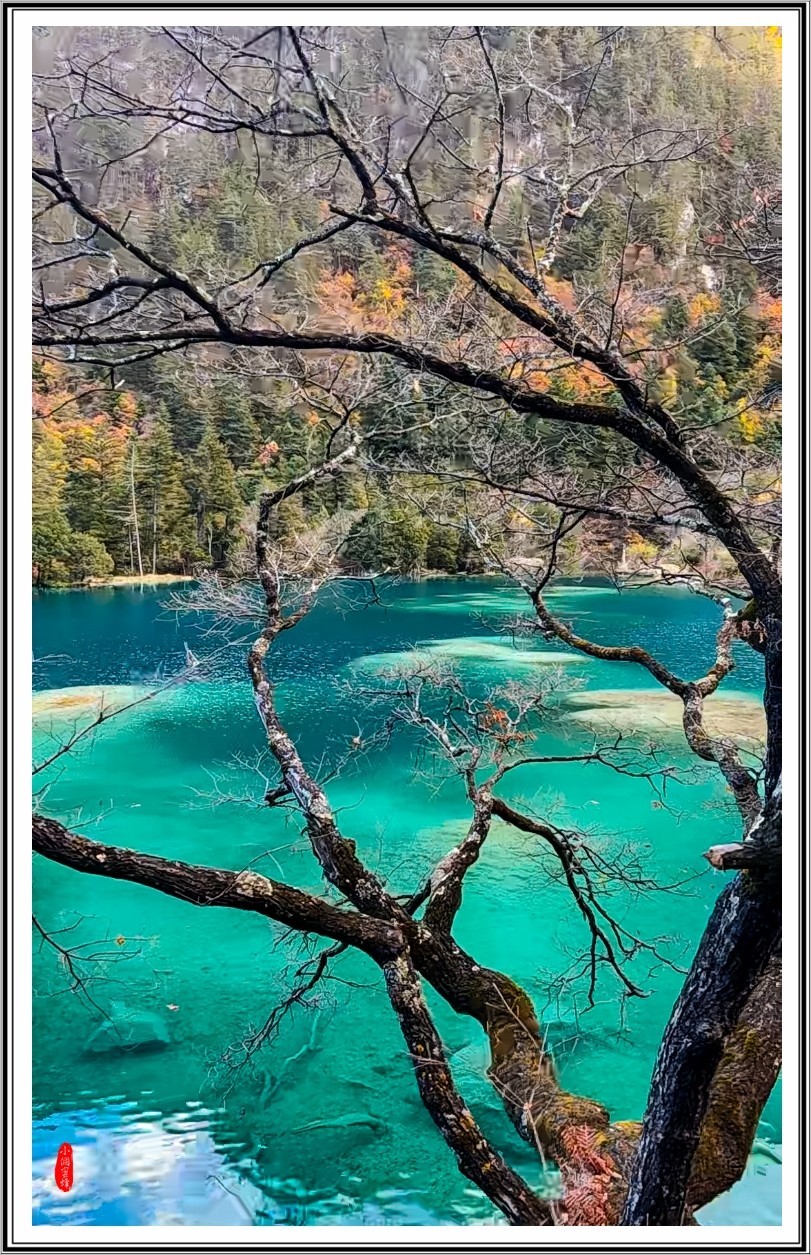 2022年九寨沟云拍-39