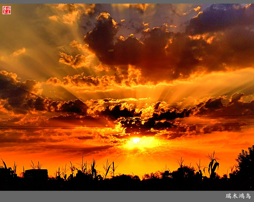 【手机随拍】朝霞光芒四射