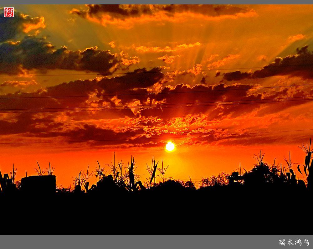 【手机随拍】朝霞光芒四射