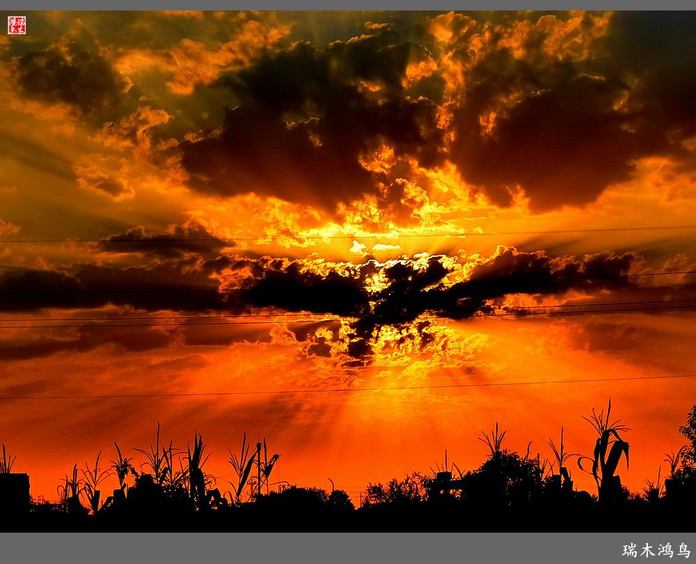 【手机随拍】朝霞光芒四射