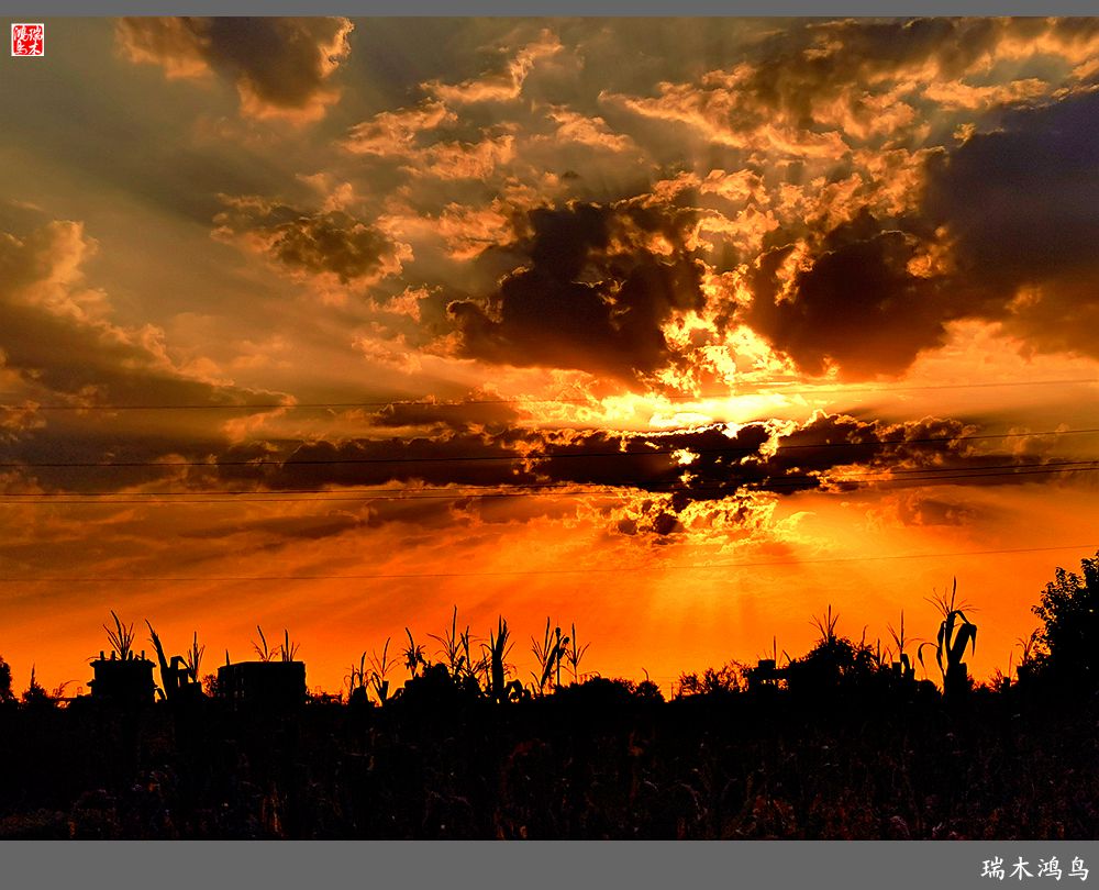 【手机随拍】朝霞光芒四射
