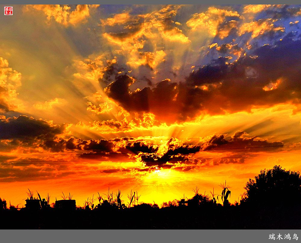 【手机随拍】朝霞光芒四射