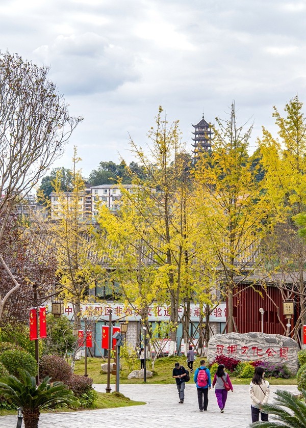 巴中--恩阳行【2】