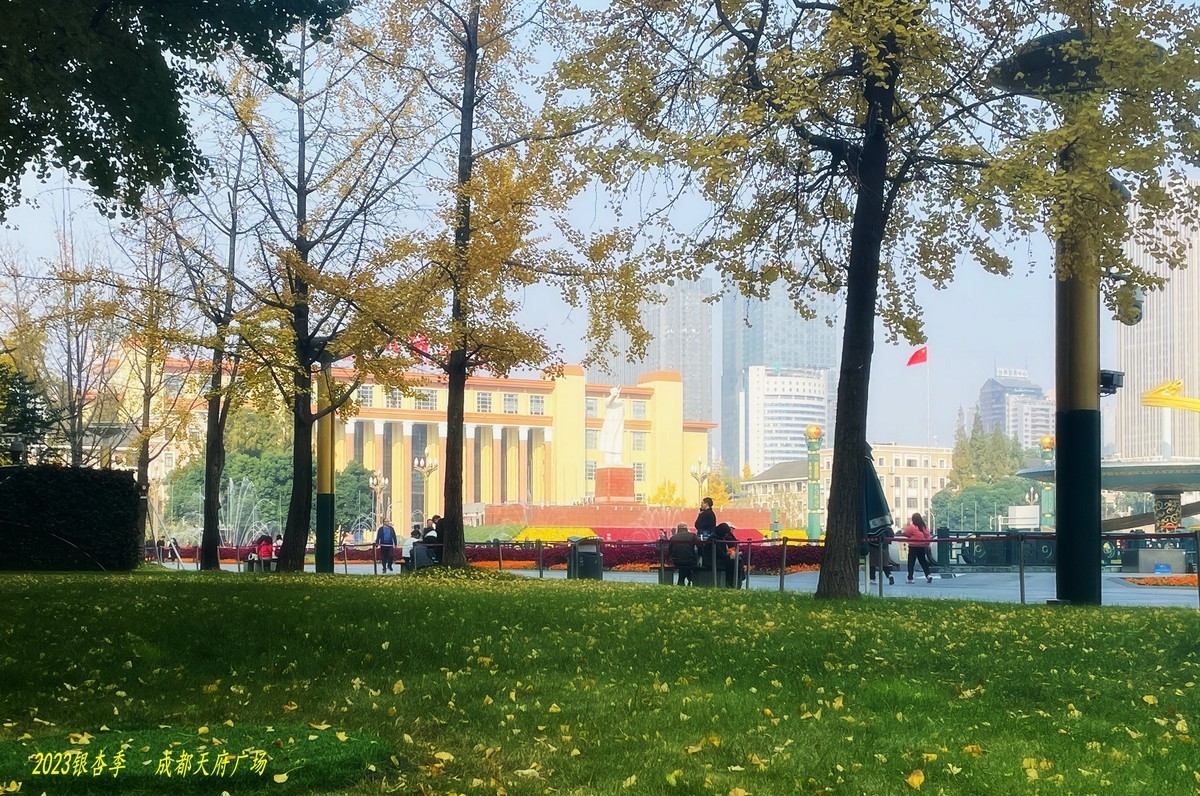 2023成都银杏季