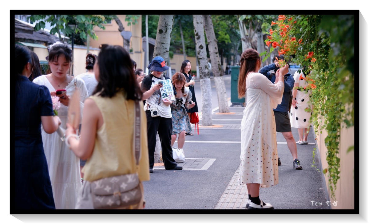 南京颐和路—很抓人很让人沉浸的地方